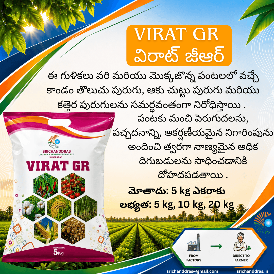 Brochure page 9