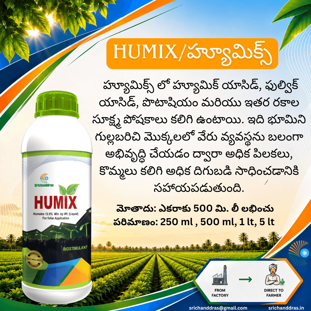 Brochure page 1